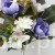 s (34791).JPG