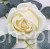 s (34797).JPG