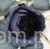 s (34808).JPG