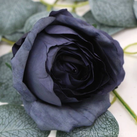 s (34808).JPG