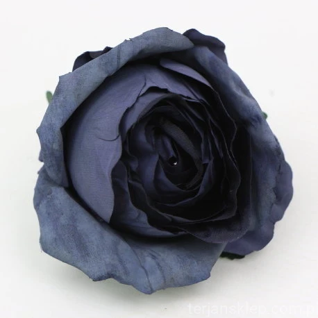 s (34809).JPG