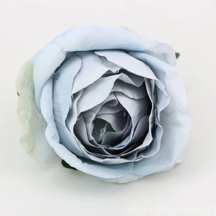 s (34814).JPG
