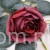 s (34805).JPG