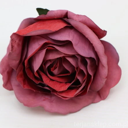 s (34806).JPG