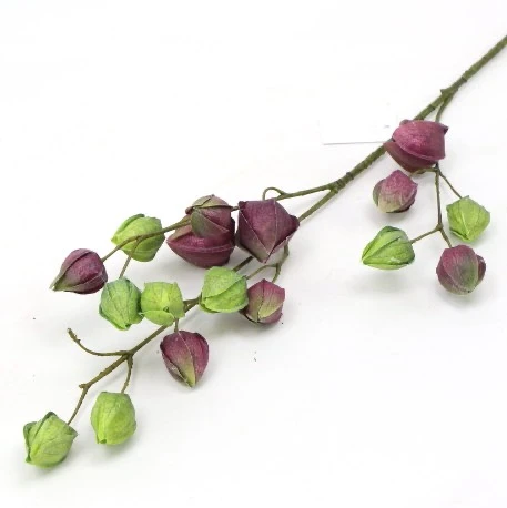 s (34766).JPG