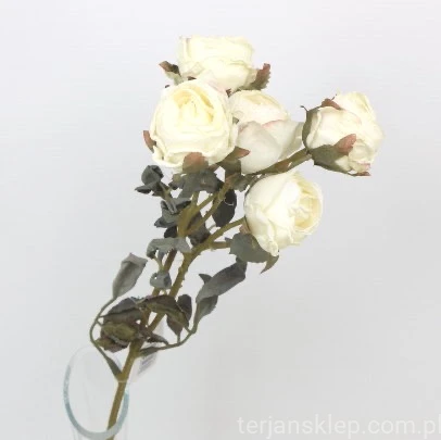 s (34727).JPG