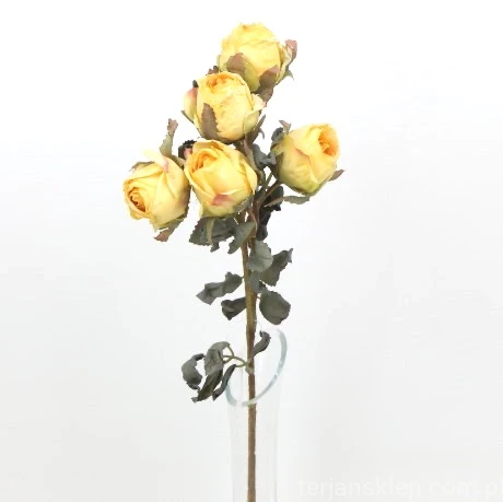 s (34745).JPG
