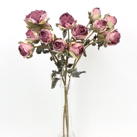 s (34741).JPG