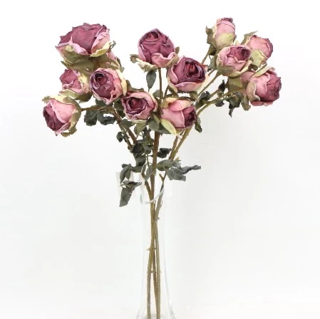 s (34741).JPG