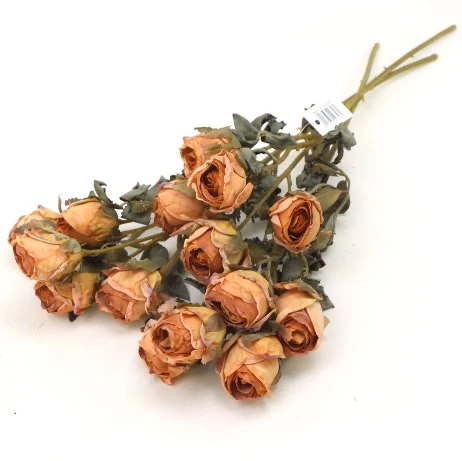 s (34751).JPG