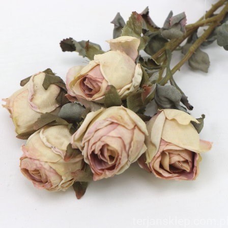 s (34729).JPG