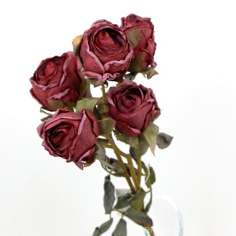 s (34732).JPG