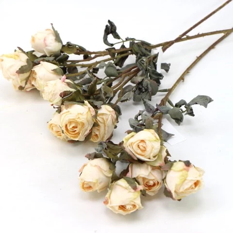 s (34754).JPG