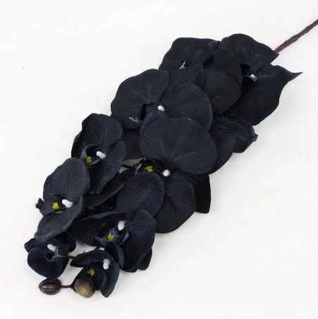 s (34878).JPG