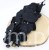 s (34881).JPG