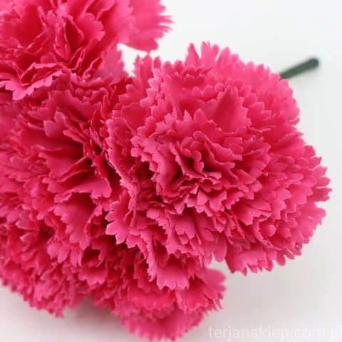 s (34898).JPG