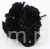 s (34899).JPG