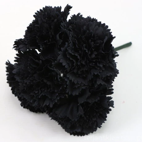 s (34899).JPG
