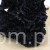s (34902).JPG
