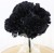 s (34904).JPG