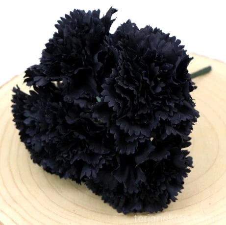 s (34901).JPG
