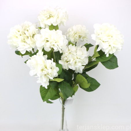 IMG (34635).JPG