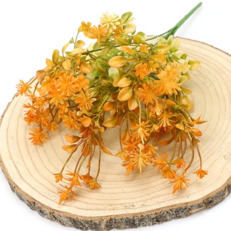 IMG (34974).JPG
