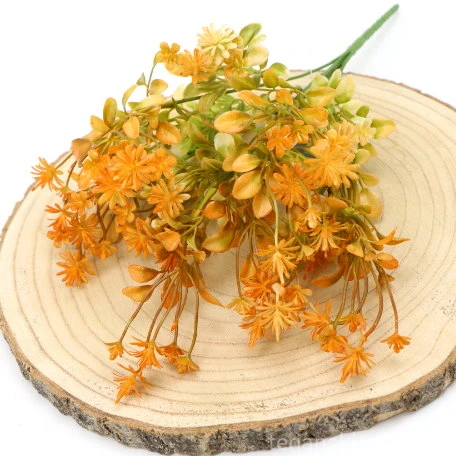 IMG (34974).JPG