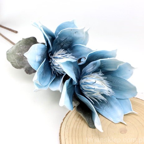 IMG (35001).JPG