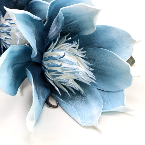 IMG (35003).JPG