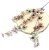 IMG (34905).JPG