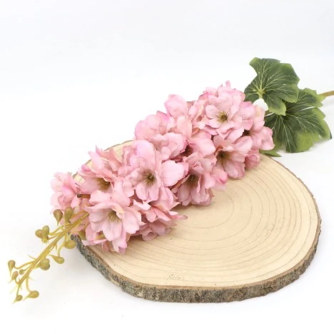 IMG (34919).JPG