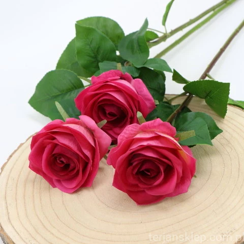img (35231).JPG