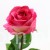 img (35234).JPG