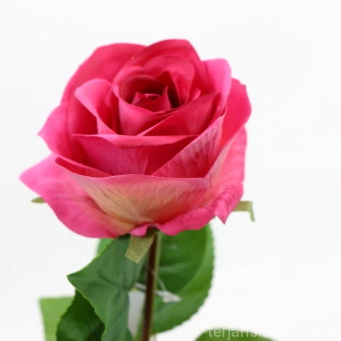 img (35234).JPG