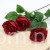 img (35220).JPG