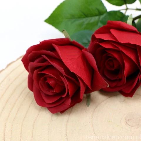 img (35221).JPG