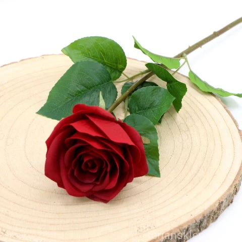 img (35223).JPG