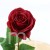 img (35235).JPG