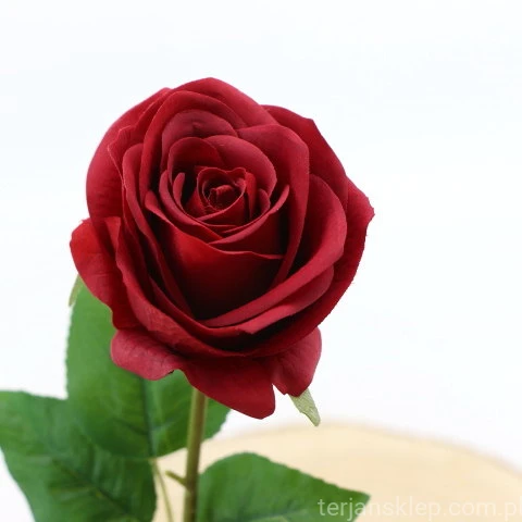 img (35235).JPG