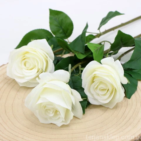img (35225).JPG