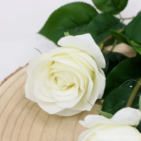 img (35226).JPG