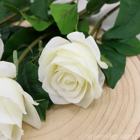img (35227).JPG