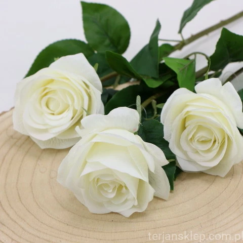 img (35228).JPG
