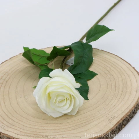 img (35230).JPG