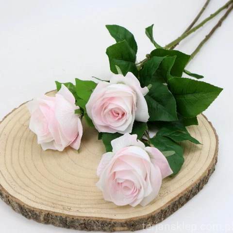 img (35215).JPG