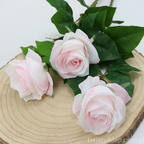 img (35217).JPG
