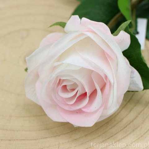 img (35218).JPG