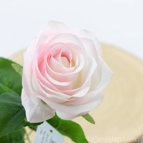 img (35236).JPG
