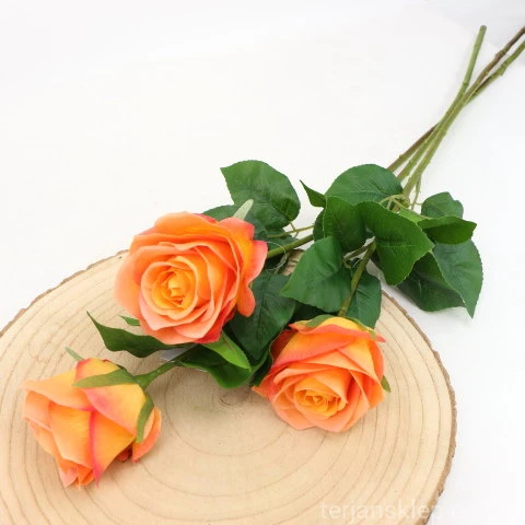 img (35210).JPG